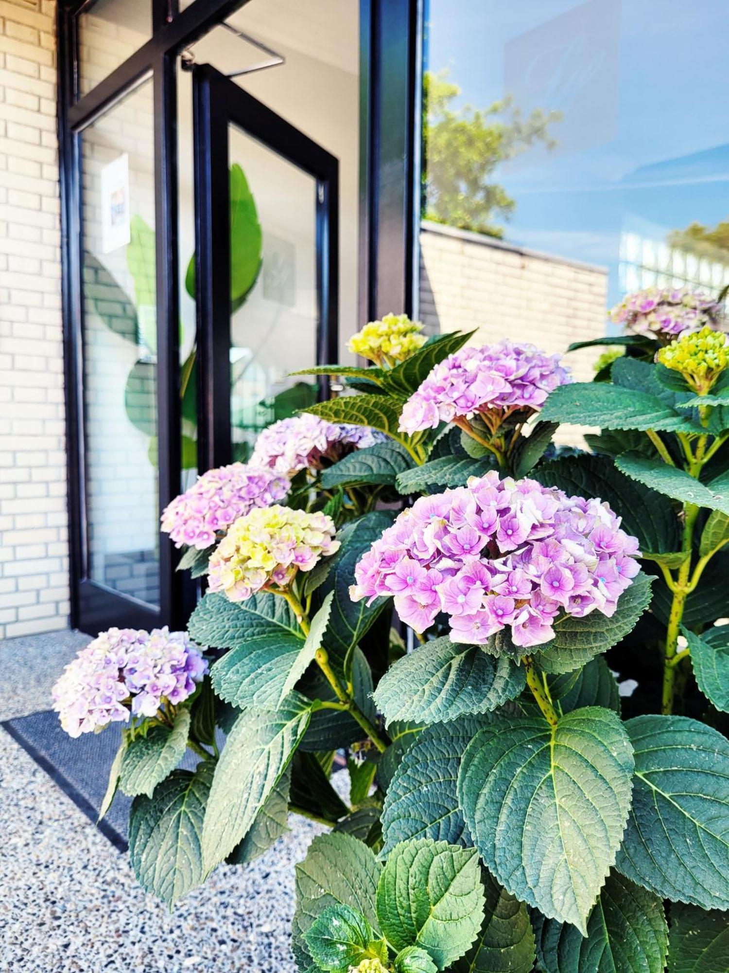 Strandnahe Moderne Ferienwohnung mit Garten Scharbeutz Exterior photo